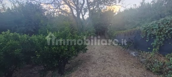 Земельный участок 7000м² в Пьедимонте Этнео, Италия № 298162 5