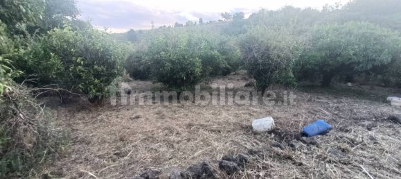 Земельный участок 7000м² в Пьедимонте Этнео, Италия № 298162 8