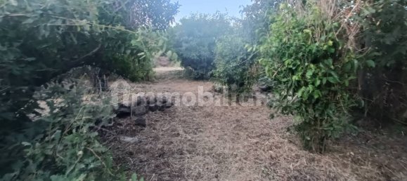 Земельный участок 7000м² в Пьедимонте Этнео, Италия № 298162 12