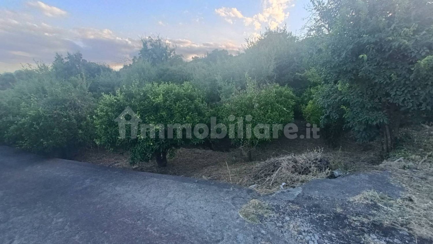 Земельный участок 7000м² в Пьедимонте Этнео, Италия № 298162