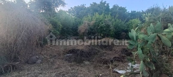 Земельный участок 7000м² в Пьедимонте Этнео, Италия № 298162 2