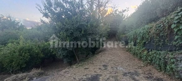Земельный участок 7000м² в Пьедимонте Этнео, Италия № 298162 13