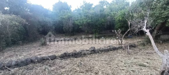 Земельный участок 7000м² в Пьедимонте Этнео, Италия № 298162 16