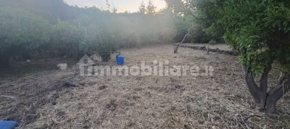 Земельный участок 7000м² в Пьедимонте Этнео, Италия № 298162 9