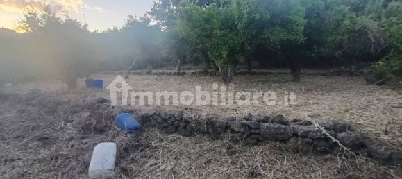 Земельный участок 7000м² в Пьедимонте Этнео, Италия № 298162 11