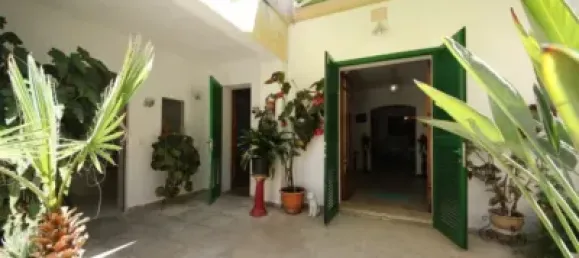 2 bedrooms House in Petra, Spain No. 202597 13