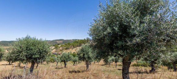 2 bedrooms House in Perais, Portugal No. 167792 12