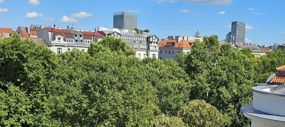3 Schlafzimmer Doppelhaus in Wieden, Austria, Nr. 207156 8