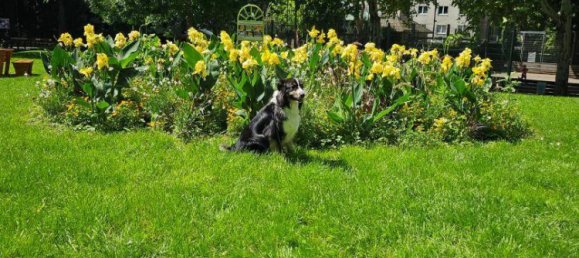 3 Schlafzimmer Doppelhaus in Wieden, Austria, Nr. 207156 9
