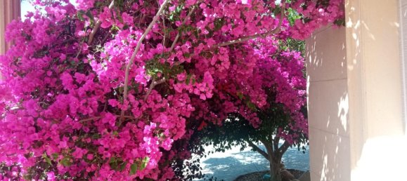 4 bedrooms House in Mutxamel, Spain No. 109630 8