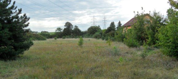 Terrain à Grossebersdorf, Austria No. 62991 4