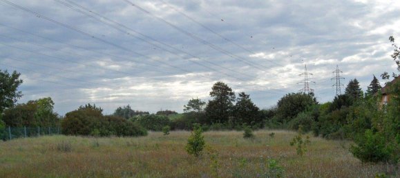 Terrain à Grossebersdorf, Austria No. 62991 6