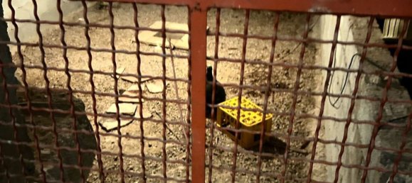 6 غرف نوم فيلا في Pietragalla, Italy رقم 381785 29