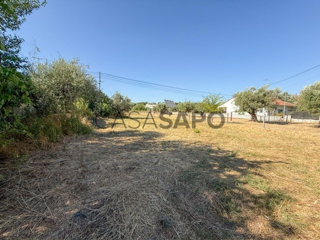 6120m² Land in Abrantes, Portugal No. 295478