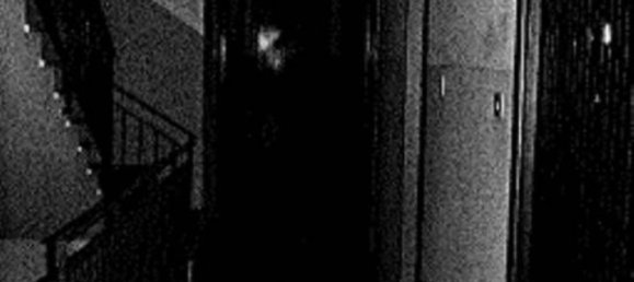 2-Zimmer Wohnung in Messina, Italy, Nr. 40953 7