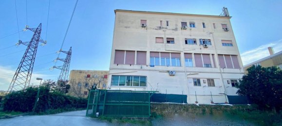 5-Zimmer Lagerhaus in Naples, Italy, Nr. 314341 3