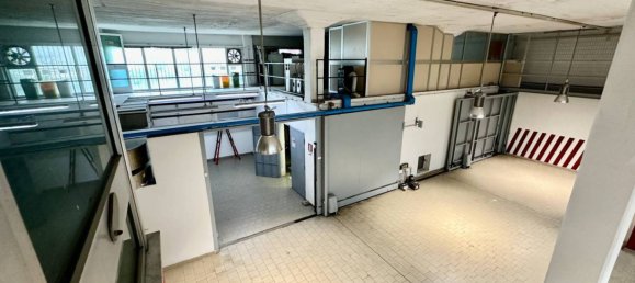 5-Zimmer Lagerhaus in Naples, Italy, Nr. 314341 7