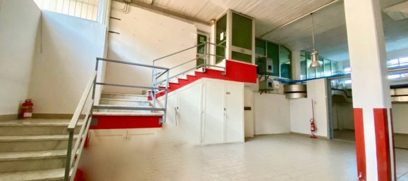 5-Zimmer Lagerhaus in Naples, Italy, Nr. 314341 15