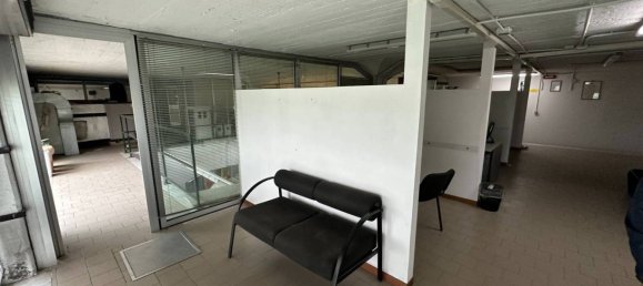 5-Zimmer Lagerhaus in Naples, Italy, Nr. 314341 8