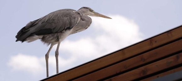 3غرفة عقار تجاري في Brandenburg, Germany رقم 20130 12