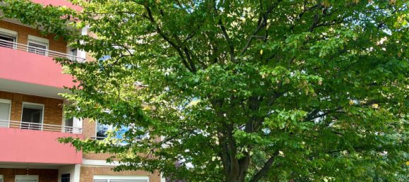 Apartamento T1 em Bergstrase, Germany N.º 319796 10