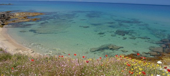 417m² Land in Castelsardo, Italy No. 47106 30