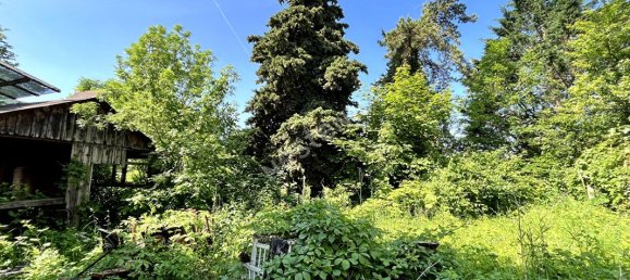 Дом с 2 спальнями в Сен-Фаржо-Понтьери, Франция № 171568 3