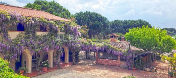 29 bedrooms Villa in Panicale, Italy No. 427 10
