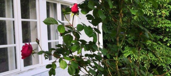 6 rooms House in Friedberg, Austria No. 247331 36