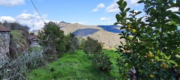 1 bedroom House in Covide, Portugal No. 39336 6