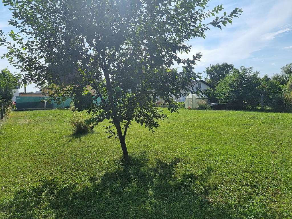 Terreno en Liebenau, Austria No. 107908