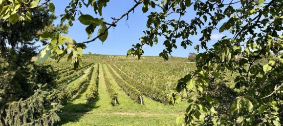 3 rooms Apartment in Dobling, Austria No. 144167 20