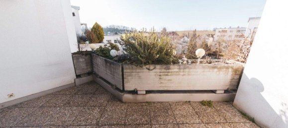 5-salle Appartement à Leonding, Austria No. 50235 7