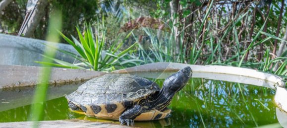 3 chambres Maison à Caltagirone, Italy No. 131040 16