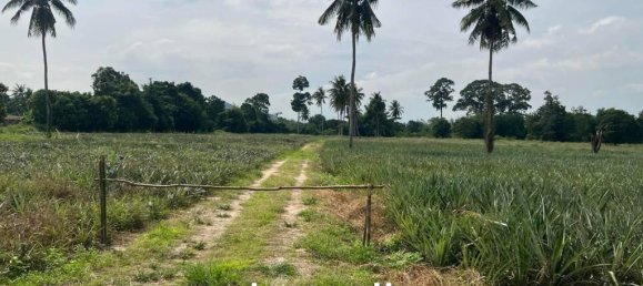  Commercial property in Cha-am, Thailand No. 19044 4