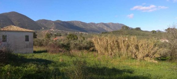 4 chambres Propriété commerciale à Zakynthos, Greece No. 465 22