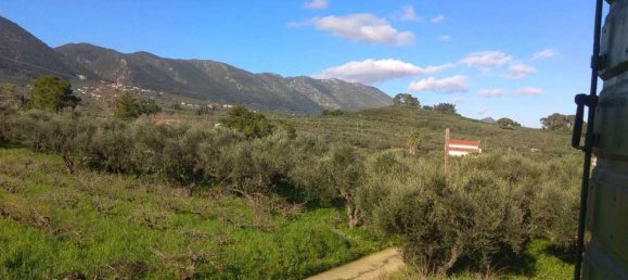 4 chambres Propriété commerciale à Zakynthos, Greece No. 465 21