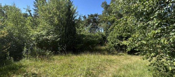 Таунхаус с 7 комнатами в Нинбург, Германия № 313596 7