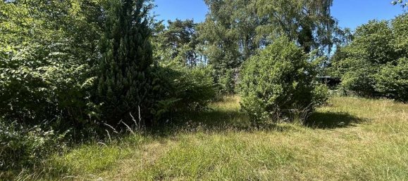 Таунхаус с 7 комнатами в Нинбург, Германия № 313596 8