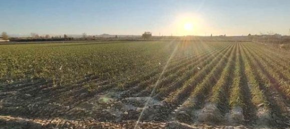 Terreno en Granada, Spain 9500 m² No. 187275 3