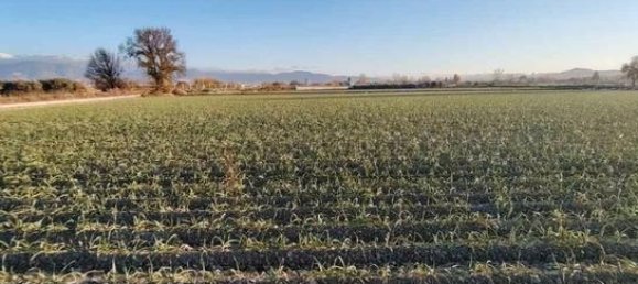 Terreno en Granada, Spain 9500 m² No. 187275 7