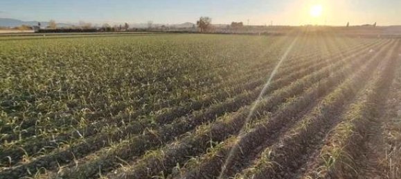 Terreno en Granada, Spain 9500 m² No. 187275 5