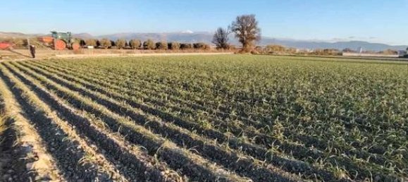 Terreno en Granada, Spain 9500 m² No. 187275 4