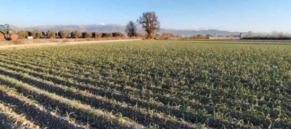 Terreno en Granada, Spain 9500 m² No. 187275 2