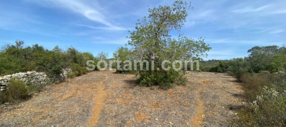  Land in Sao Bras de Alportel, Portugal No. 48735 7