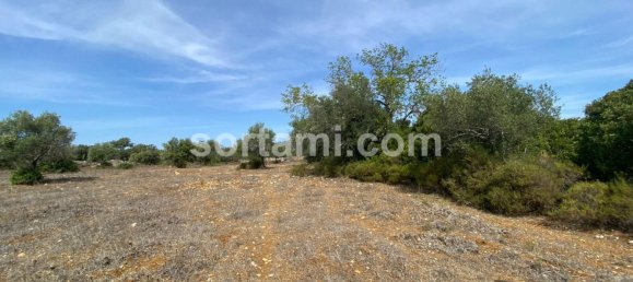  Land in Sao Bras de Alportel, Portugal No. 48735 3
