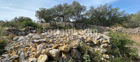  Land in Sao Bras de Alportel, Portugal No. 48735 5