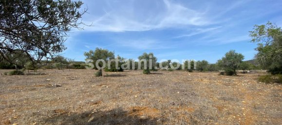  Land in Sao Bras de Alportel, Portugal No. 48735 2