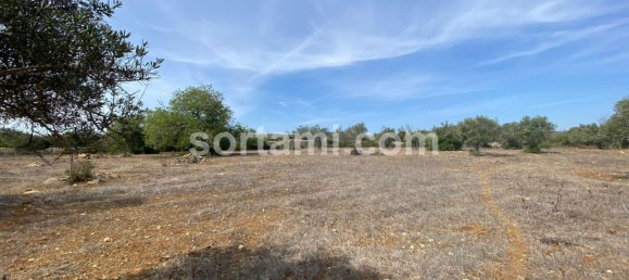 Land in Sao Bras de Alportel, Portugal No. 48735 9