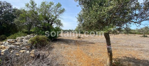  Land in Sao Bras de Alportel, Portugal No. 48735 8